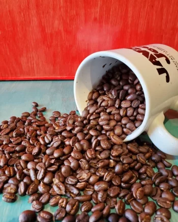 Java Joe's Tanzanian Coffee
