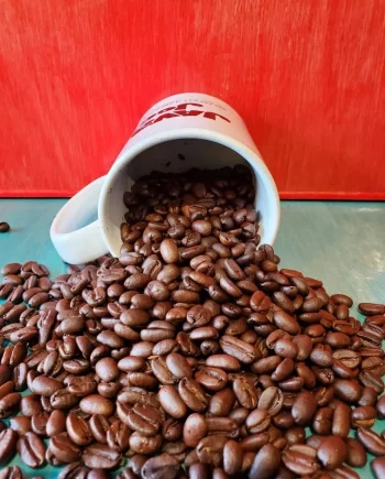 Java Joe's Papua New Guinea Coffee
