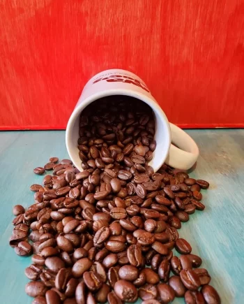 Java Joe's Decaf Mexican Coffee