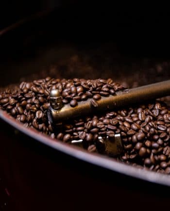 Java Joes Contact Us